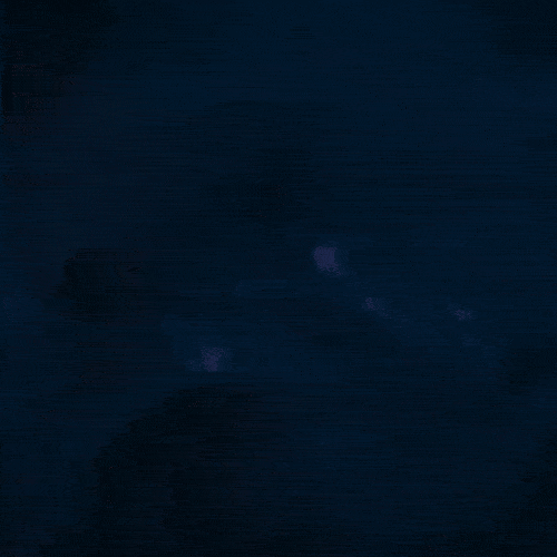 spot_img